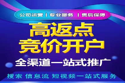 SEM代运营案例：企业增长动力源泉